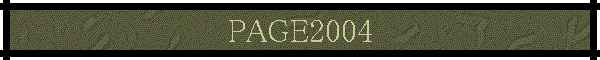 PAGE2004